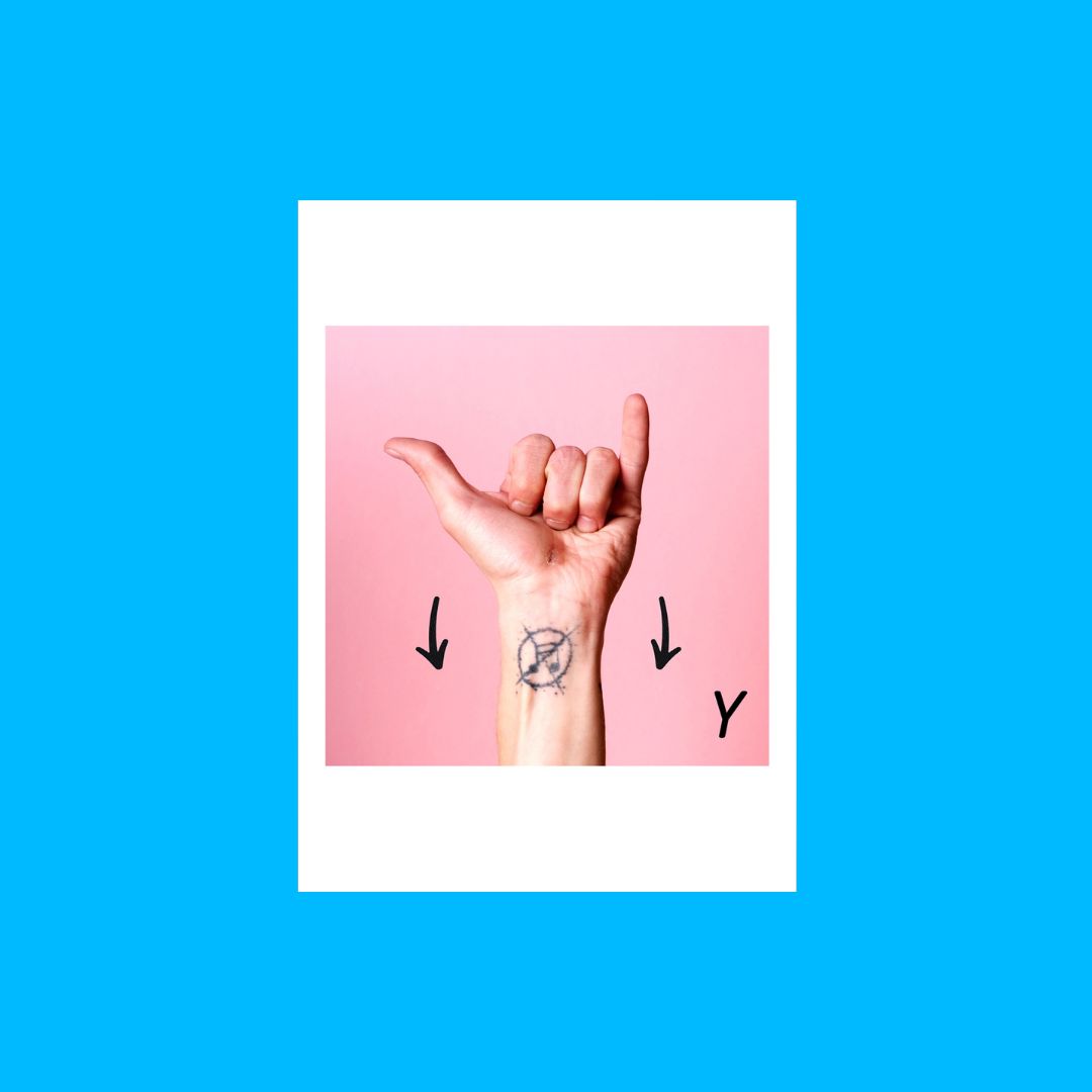 Carte Postale LSFB "Y"