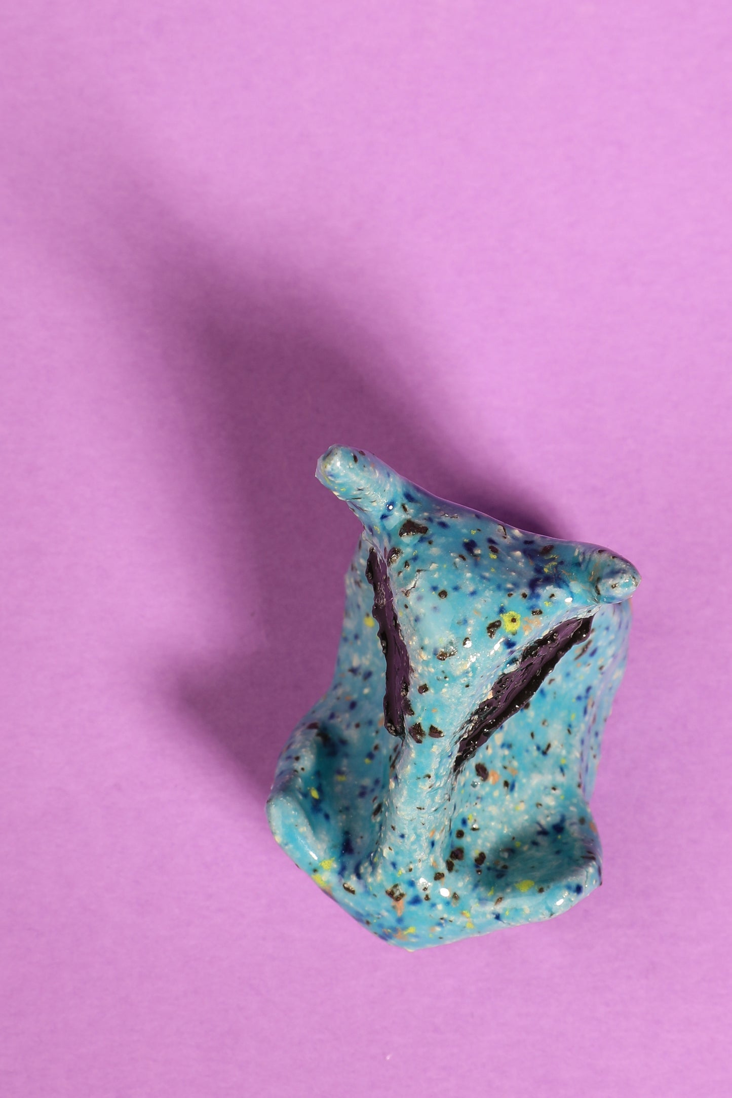 Phacochère bleu et noir
