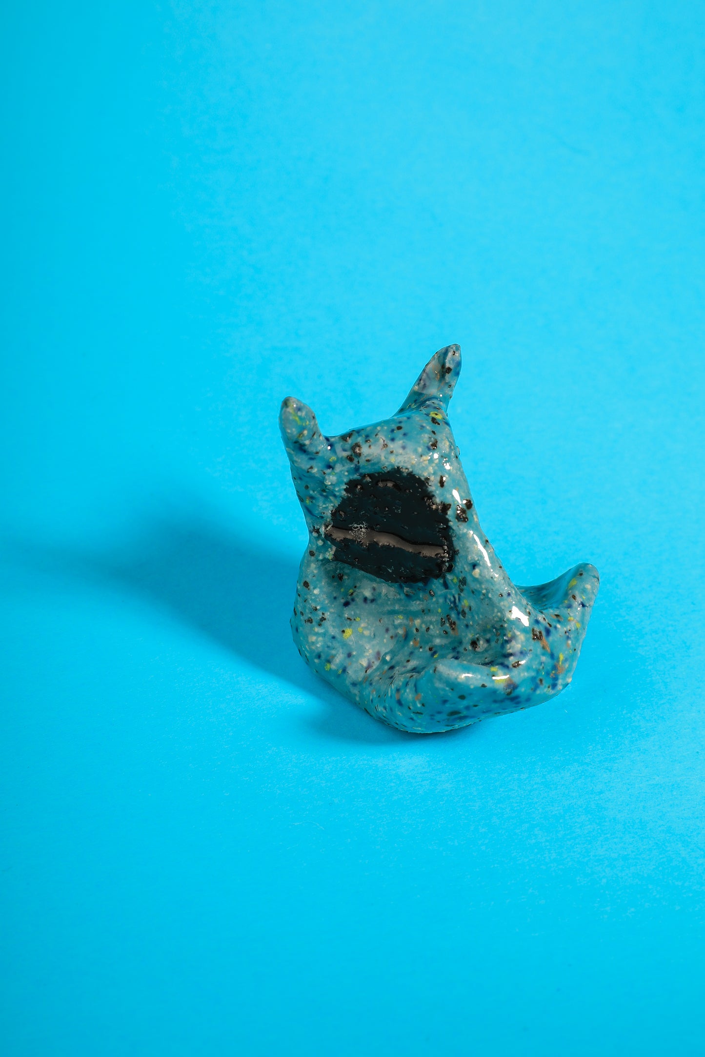 Phacochère bleu et noir